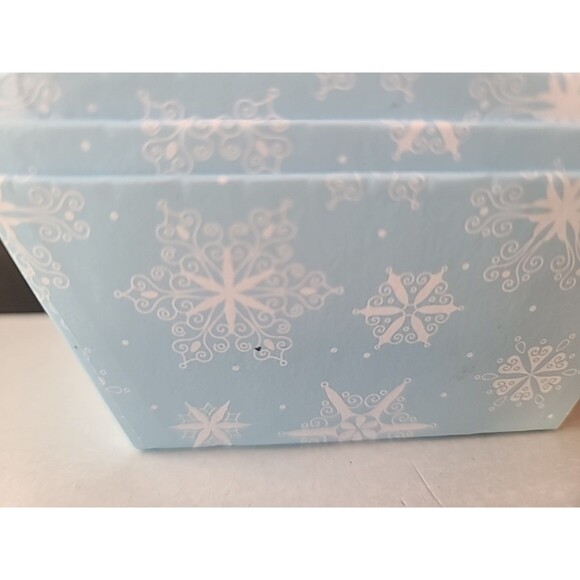 Seasonal Packaging 5ct Mini Tray - Picture 4 of 11